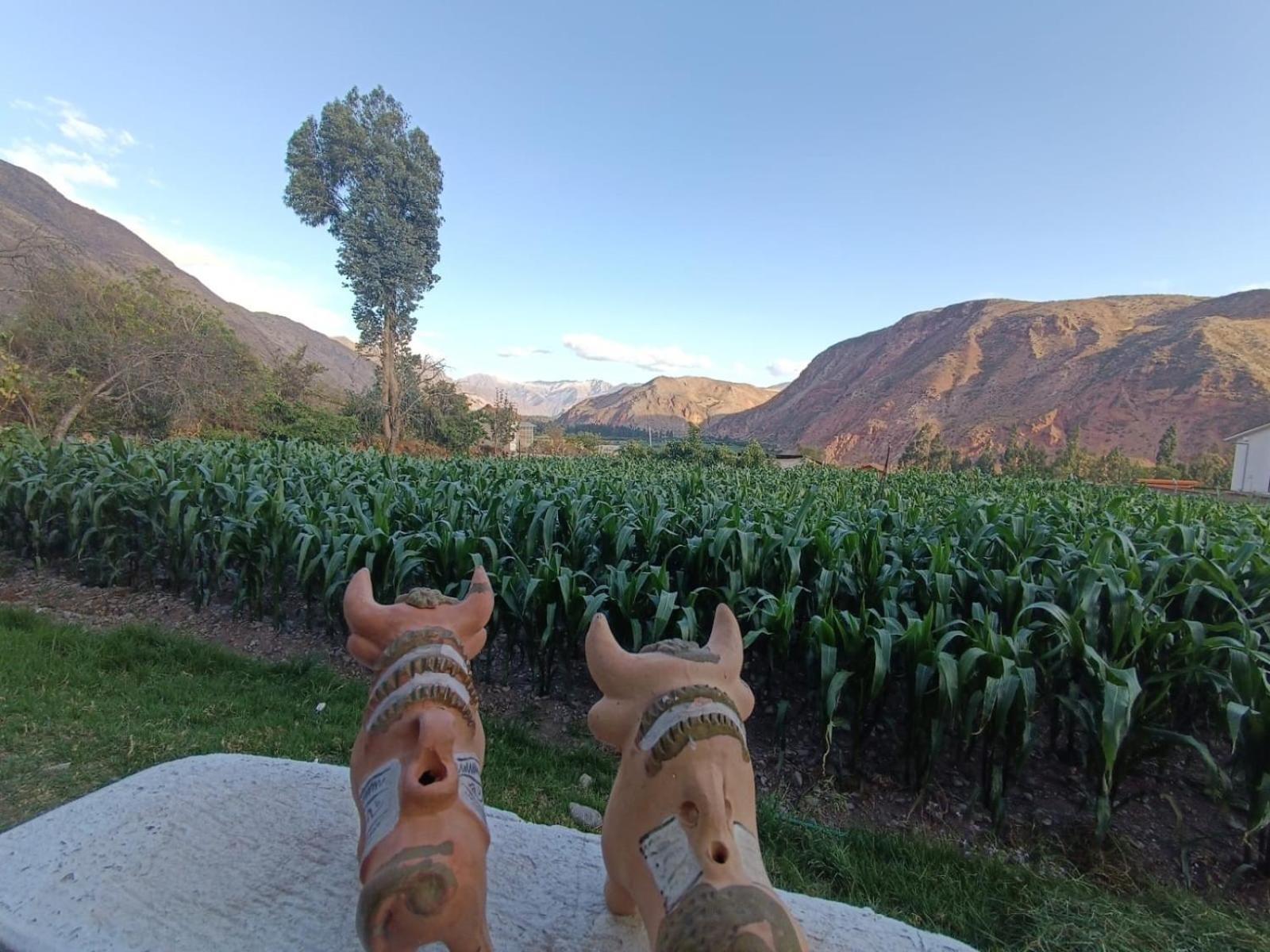 Casa Yanahuara Valle Sagrado - Urubamba Exterior photo